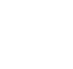 詐